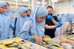 Salinan dari Cabai Pilihan - 26